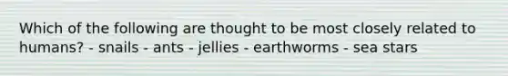 Which of the following are thought to be most closely related to humans? - snails - ants - jellies - earthworms - sea stars