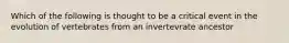 Which of the following is thought to be a critical event in the evolution of vertebrates from an invertevrate ancestor