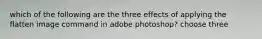 which of the following are the three effects of applying the flatten image command in adobe photoshop? choose three