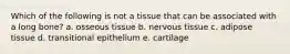 Which of the following is not a tissue that can be associated with a long bone? a. osseous tissue b. nervous tissue c. adipose tissue d. transitional epithelium e. cartilage