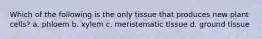 Which of the following is the only tissue that produces new plant cells? a. phloem b. xylem c. meristematic tissue d. ground tissue