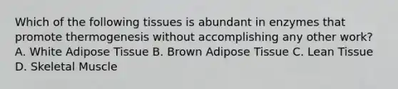 Which of the following tissues is abundant in enzymes that promote thermogenesis without accomplishing any other work? A. White Adipose Tissue B. Brown Adipose Tissue C. Lean Tissue D. Skeletal Muscle