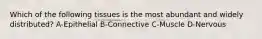 Which of the following tissues is the most abundant and widely distributed? A-Epithelial B-Connective C-Muscle D-Nervous
