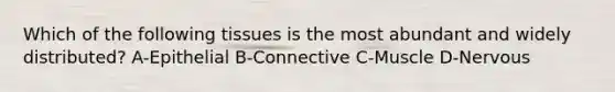 Which of the following tissues is the most abundant and widely distributed? A-Epithelial B-Connective C-Muscle D-Nervous