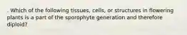 . Which of the following tissues, cells, or structures in flowering plants is a part of the sporophyte generation and therefore diploid?