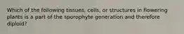 Which of the following tissues, cells, or structures in flowering plants is a part of the sporophyte generation and therefore diploid?