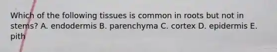 Which of the following tissues is common in roots but not in stems? A. endodermis B. parenchyma C. cortex D. epidermis E. pith