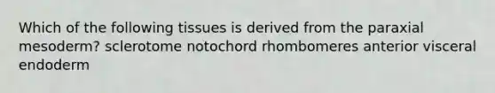 Which of the following tissues is derived from the paraxial mesoderm? sclerotome notochord rhombomeres anterior visceral endoderm