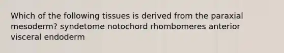 Which of the following tissues is derived from the paraxial mesoderm? syndetome notochord rhombomeres anterior visceral endoderm