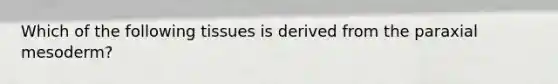 Which of the following tissues is derived from the paraxial mesoderm?