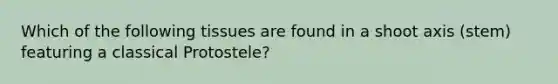 Which of the following tissues are found in a shoot axis (stem) featuring a classical Protostele?