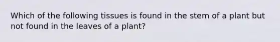 Which of the following tissues is found in the stem of a plant but not found in the leaves of a plant?