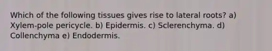 Which of the following tissues gives rise to lateral roots? a) Xylem-pole pericycle. b) Epidermis. c) Sclerenchyma. d) Collenchyma e) Endodermis.