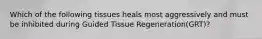 Which of the following tissues heals most aggressively and must be inhibited during Guided Tissue Regeneration(GRT)?