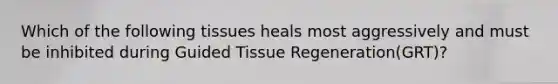 Which of the following tissues heals most aggressively and must be inhibited during Guided Tissue Regeneration(GRT)?