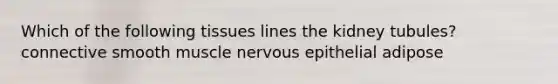 Which of the following tissues lines the kidney tubules? connective smooth muscle nervous epithelial adipose