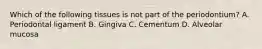 Which of the following tissues is not part of the periodontium? A. Periodontal ligament B. Gingiva C. Cementum D. Alveolar mucosa