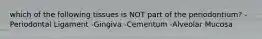 which of the following tissues is NOT part of the periodontium? -Periodontal Ligament -Gingiva -Cementum -Alveolar Mucosa