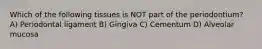 Which of the following tissues is NOT part of the periodontium? A) Periodontal ligament B) Gingiva C) Cementum D) Alveolar mucosa