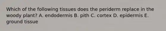 Which of the following tissues does the periderm replace in the woody plant? A. endodermis B. pith C. cortex D. epidermis E. ground tissue