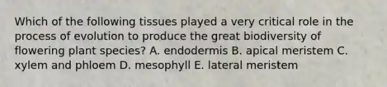 Which of the following tissues played a very critical role in the process of evolution to produce the great biodiversity of flowering plant species? A. endodermis B. apical meristem C. xylem and phloem D. mesophyll E. lateral meristem