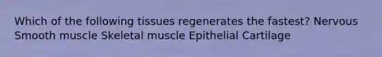 Which of the following tissues regenerates the fastest? Nervous Smooth muscle Skeletal muscle Epithelial Cartilage