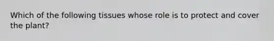 Which of the following tissues whose role is to protect and cover the plant?