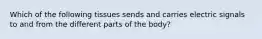 Which of the following tissues sends and carries electric signals to and from the different parts of the body?