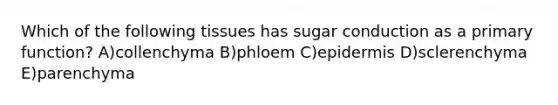 Which of the following tissues has sugar conduction as a primary function? A)collenchyma B)phloem C)epidermis D)sclerenchyma E)parenchyma