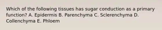 Which of the following tissues has sugar conduction as a primary function? A. Epidermis B. Parenchyma C. Sclerenchyma D. Collenchyma E. Phloem