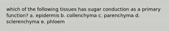 which of the following tissues has sugar conduction as a primary function? a. epidermis b. collenchyma c. parenchyma d. sclerenchyma e. phloem