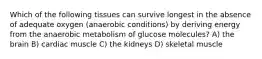 Which of the following tissues can survive longest in the absence of adequate oxygen (anaerobic conditions) by deriving energy from the anaerobic metabolism of glucose molecules? A) the brain B) cardiac muscle C) the kidneys D) skeletal muscle