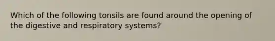 Which of the following tonsils are found around the opening of the digestive and respiratory systems?
