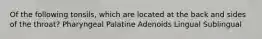 Of the following tonsils, which are located at the back and sides of the throat? Pharyngeal Palatine Adenoids Lingual Sublingual