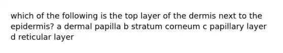 which of the following is the top layer of the dermis next to the epidermis? a dermal papilla b stratum corneum c papillary layer d reticular layer