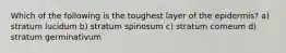 Which of the following is the toughest layer of the epidermis? a) stratum lucidum b) stratum spinosum c) stratum corneum d) stratum germinativum