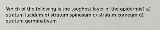 Which of the following is the toughest layer of the epidermis? a) stratum lucidum b) stratum spinosum c) stratum corneum d) stratum germinativum