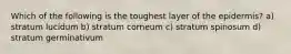 Which of the following is the toughest layer of the epidermis? a) stratum lucidum b) stratum corneum c) stratum spinosum d) stratum germinativum