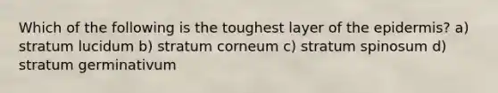 Which of the following is the toughest layer of the epidermis? a) stratum lucidum b) stratum corneum c) stratum spinosum d) stratum germinativum