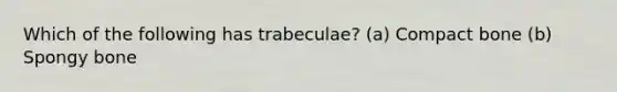 Which of the following has trabeculae? (a) Compact bone (b) Spongy bone