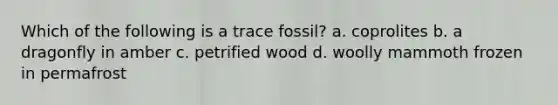 Which of the following is a trace fossil? a. coprolites b. a dragonfly in amber c. petrified wood d. woolly mammoth frozen in permafrost