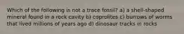 Which of the following is not a trace fossil? a) a shell-shaped mineral found in a rock cavity b) coprolites c) burrows of worms that lived millions of years ago d) dinosaur tracks in rocks