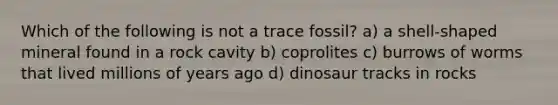 Which of the following is not a trace fossil? a) a shell-shaped mineral found in a rock cavity b) coprolites c) burrows of worms that lived millions of years ago d) dinosaur tracks in rocks