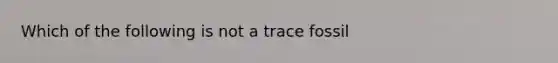 Which of the following is not a trace fossil