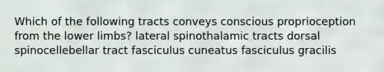 Which of the following tracts conveys conscious proprioception from the lower limbs? lateral spinothalamic tracts dorsal spinocellebellar tract fasciculus cuneatus fasciculus gracilis