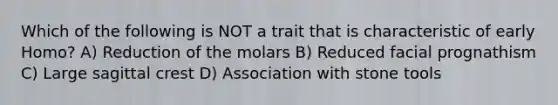 Which of the following is NOT a trait that is characteristic of early Homo? A) Reduction of the molars B) Reduced facial prognathism C) Large sagittal crest D) Association with stone tools