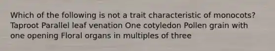 Which of the following is not a trait characteristic of monocots? Taproot Parallel leaf venation One cotyledon Pollen grain with one opening Floral organs in multiples of three