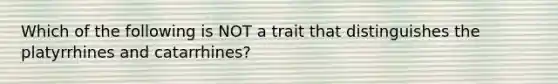 Which of the following is NOT a trait that distinguishes the platyrrhines and catarrhines?