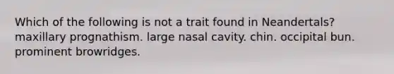 Which of the following is not a trait found in Neandertals? maxillary prognathism. large nasal cavity. chin. occipital bun. prominent browridges.