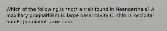 Which of the following is *not* a trait found in Neanderthals? A. maxillary prognathism B. large nasal cavity C. chin D. occipital bun E. prominent brow ridge